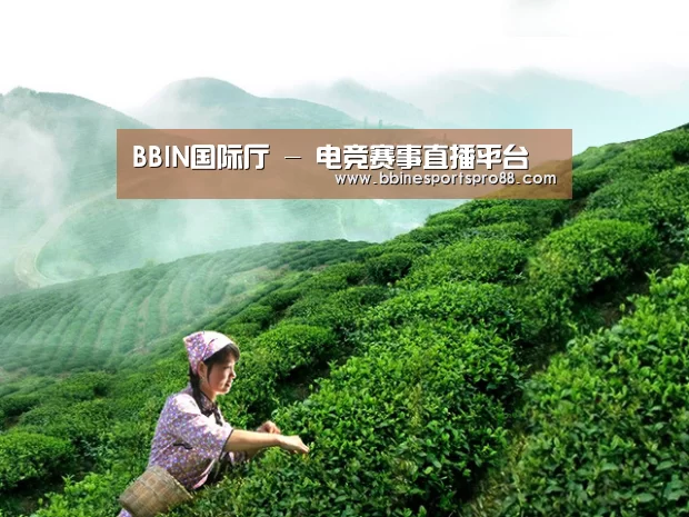 BBIN国际厅 - 电竞赛事直播平台
