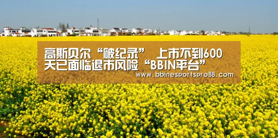 BBIN地址