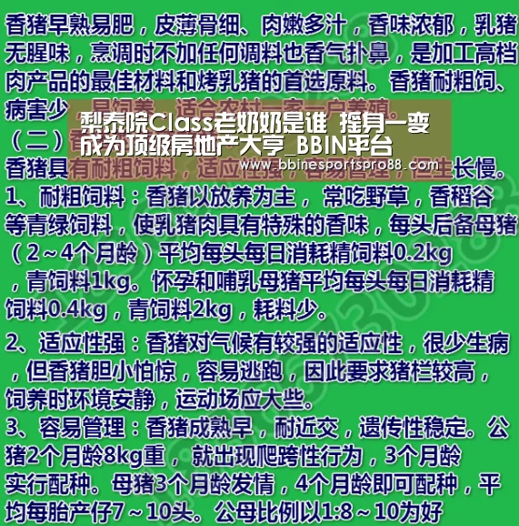 梨泰院Class老奶奶是谁 摇身一变成为顶级房地产大亨_BBIN平台(图2) BBIN娱乐