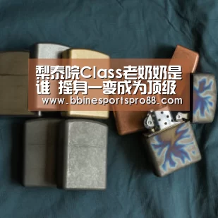 梨泰院Class老奶奶是谁 摇身一变成为顶级房地产大亨_BBIN平台(图3) BBIN足球