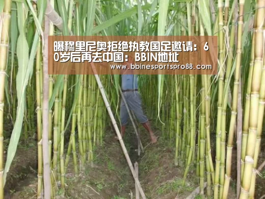 曝穆里尼奥拒绝执教国足邀请：60岁后再去中国：BBIN地址